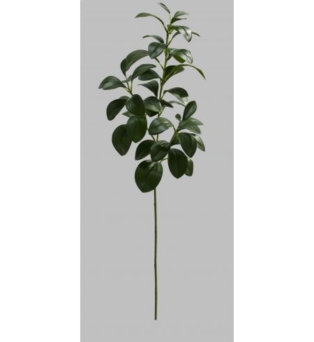 HASTE DE PEPEROMIA C/70CM