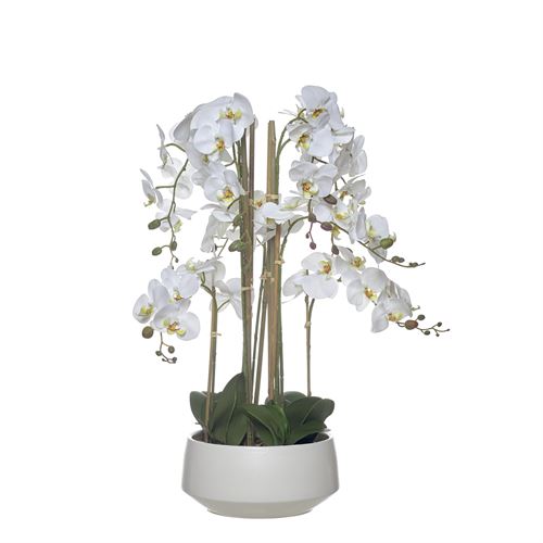 43571 ORQUIDEA 85CM TAÇA CERAMICA C 33,00 L 33,00 A 85,00