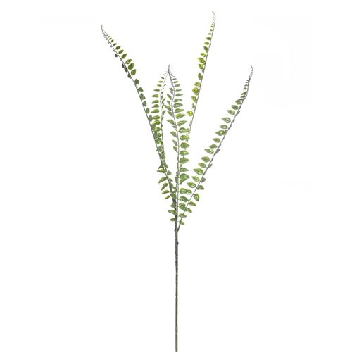 HASTE FERN 5LVS 90CM