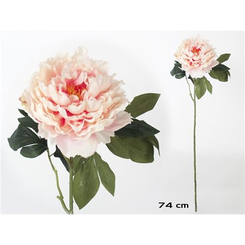 7443 PEONIA ROSA 74CM