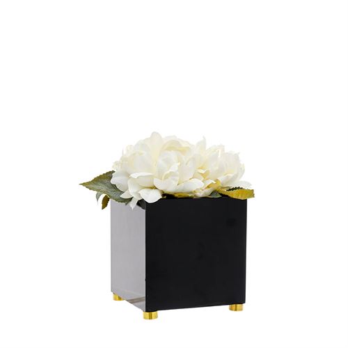 46142 CAIXA BLACK GLOSS PEONEAS BRANCAS PQ