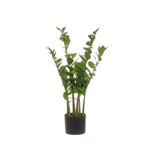 PLANTA ARTIFICIAL ZAMIIFOLIA 98FOLHAS 75CM