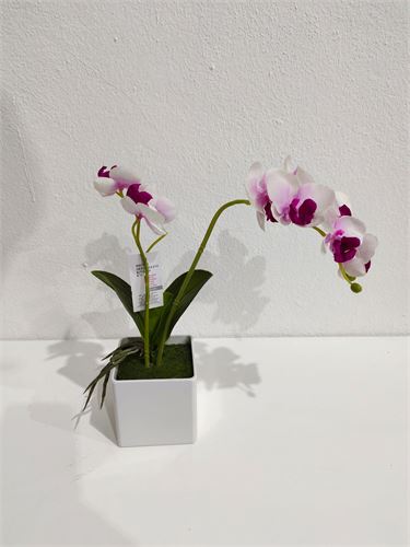 VASO ORQUIDEA 30CM