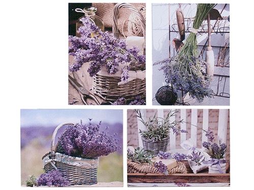 16383 QUADRO FLORES 30X40X1,5 4SORT