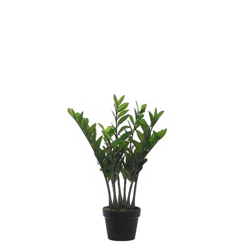 43243 PLANTA ARTIFICIAL ZAMIIFOLIA 64CM