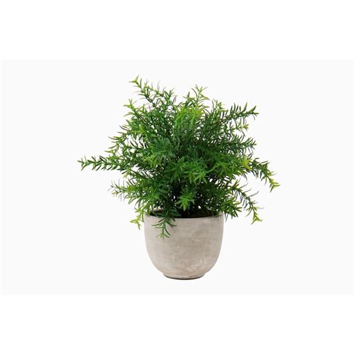 PLANTA BX-48698/ST203 ARTIFICIAL 12X31CM