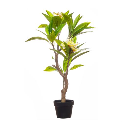 PLANTA ARTIFICIAL - REAL TOUCH FRANGIPAN 120CM