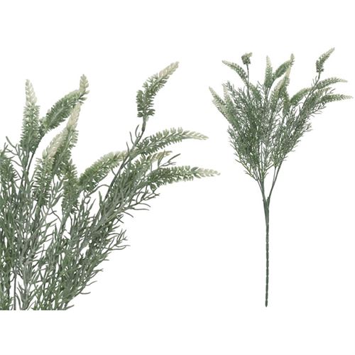 198675 LAVANDA 70CM