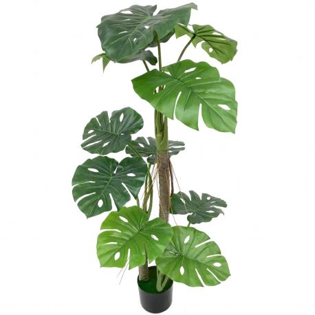 7120 SPLIT PHILO 120CM