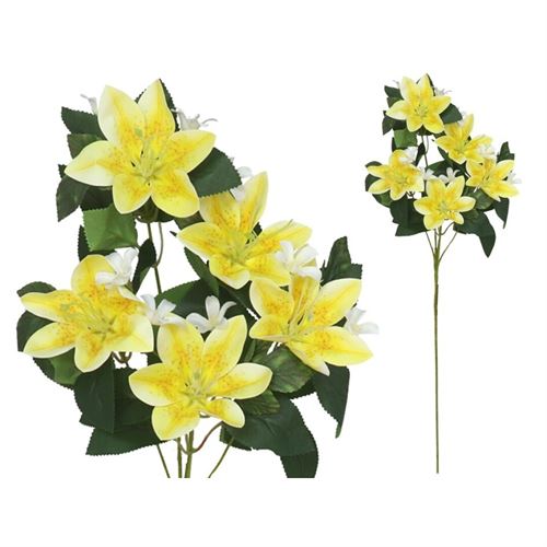 223629 HASTE LILIUM TOQUE REAL X5
