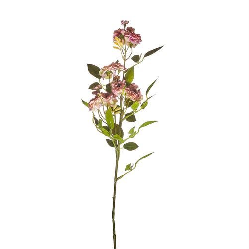 HASTE - SINGLE MINI ROSE X 3 70CM