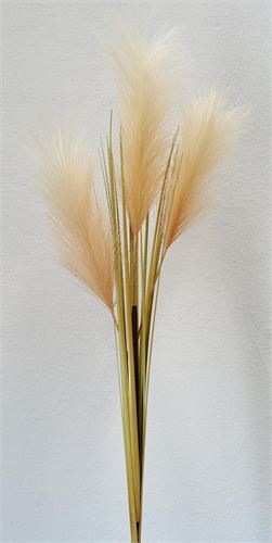 HIERBA DE LAS PAMPAS BEGE 98CM