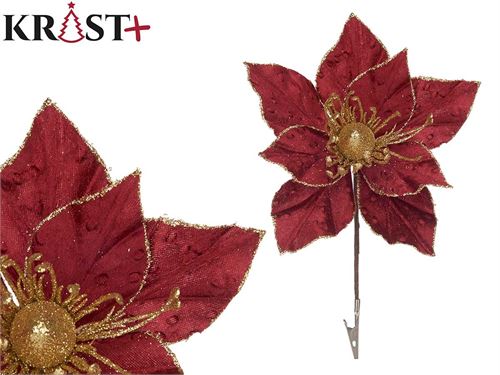 32030 FLOR COM MOLA BORDEAUX NATAL