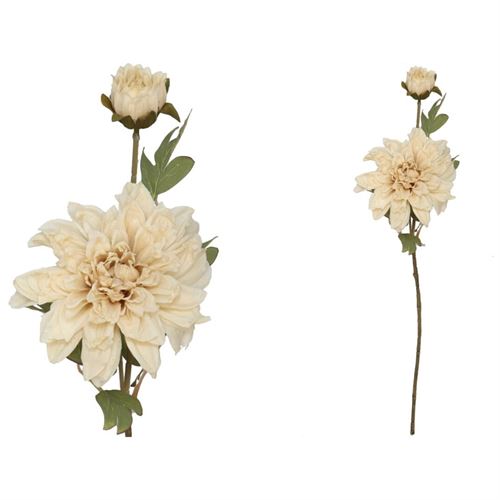 208534 HASTE DALIA SECA 14.00 X 22.00 X 60.00 CM