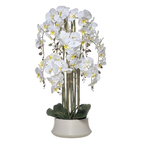 43569 ORQUIDEA 95CM TAÇA CERAMICA