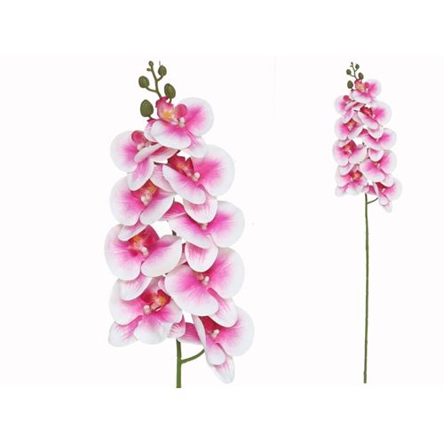 223445 ORQUIDEA TOQUE REAL X9