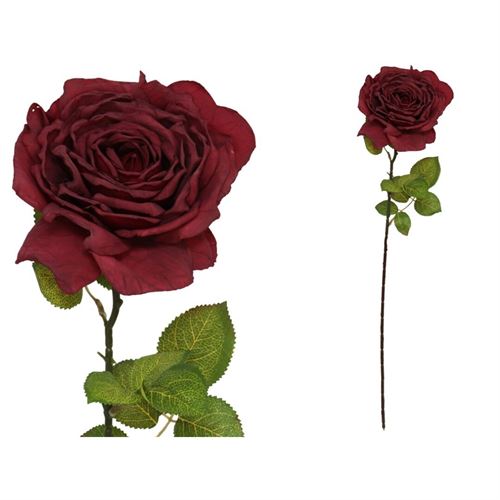 208329 HASTE ROSA SECA 15.00 X 16.00 X 66.00 CM