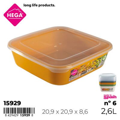 15929 CAIXA PLASTICA QUAD G.LINE Nº6 2.6LT