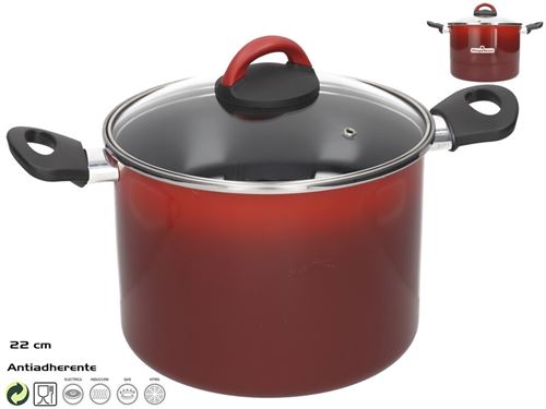 126427 PANELA 22CM