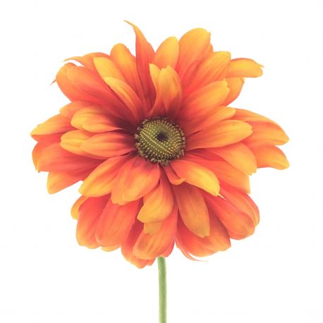 GERBERA LARANJA/CEREJA 75CM