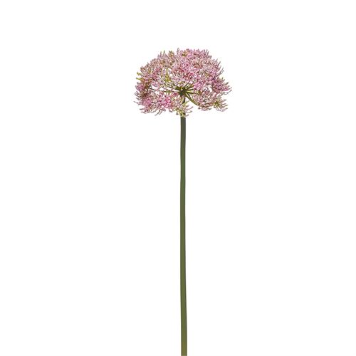 42258 HASTE SINGLE TRADESCANTIA 62CM
