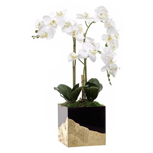 ORQUIDEA 3 CAULES BASE PRETO OURO 75CM