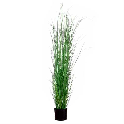 43404 PLANTA ARTIFICIAL CURLY GRASS 150CM