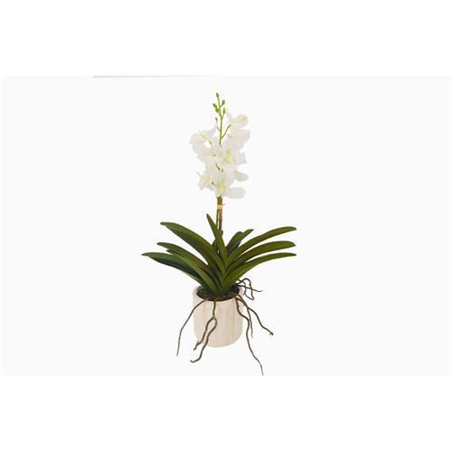 ORQUIDEA BRANCA 26x13x50cm