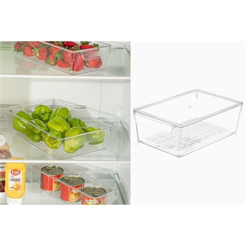 P234392152 CAIXA ALIMENTOS 00831 C/TAMPA 20x32.5x10cm