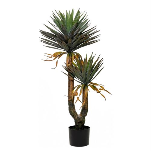 43384 PLANTA YUCCA GLORIOSA X2 140CM