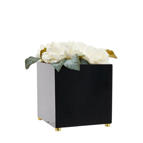 46141 CAIXA BLACK GLOSS PEONEAS BRANCAS GR