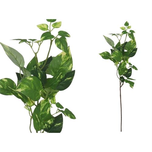 222172 HASTE POTHOS 70CM