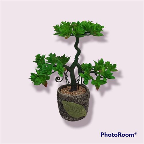 14119 BONSAI FOUR 28X12X30CM