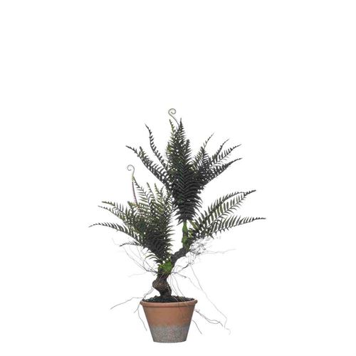 PLANTA ARTIFICIAL 68CM