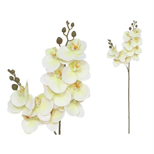 HASTE ORQUIDEA X12 TOQUE REAL 76CM