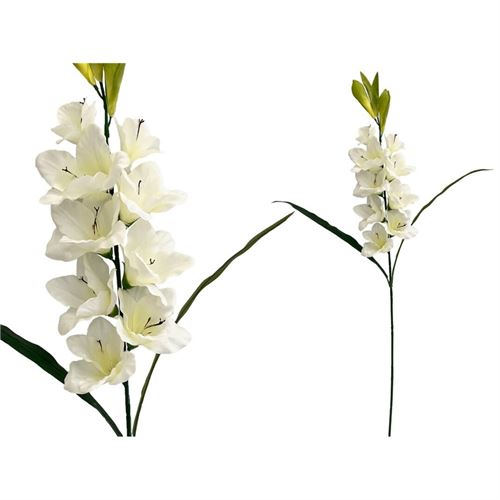 232348 FLORES GLADIOLUS X12 98CM