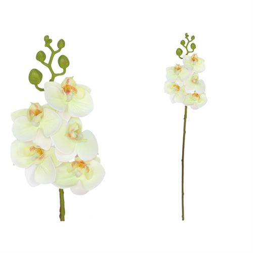 227580 ORQUIDEA X5 TOQUE REAL 57CM