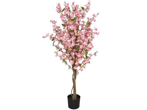 390741 CEREJEIRA 120CM