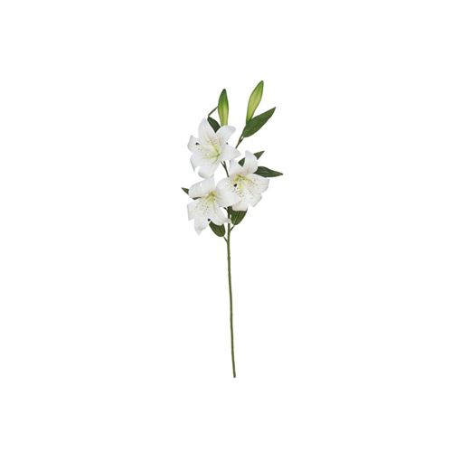 226040 HASTE LILIUM X 5 TOQUE REAL