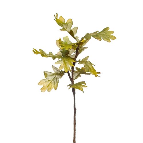 OAK-SPRAY 62CM GREEN-YELLOW