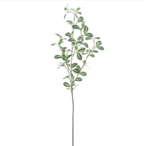 239009 HASTE TRADESCANCIA 90CM