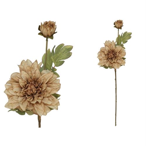 208558 HASTE DALIA SECA 14.00 X 22.00 X 60.00 CM