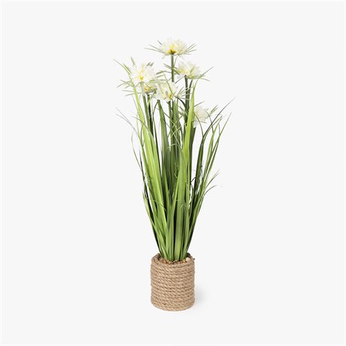 60564 RAMO CORDA 6 FLORES SORT3 CORES