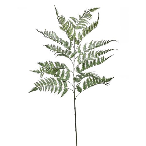 HASTE VERDURA FERN 13VLS 120CM