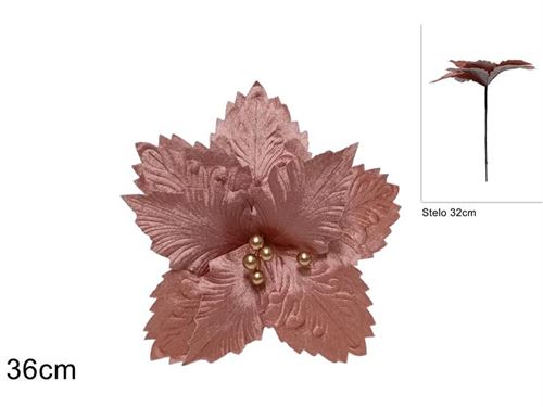 279466 FLOR DE NATAL