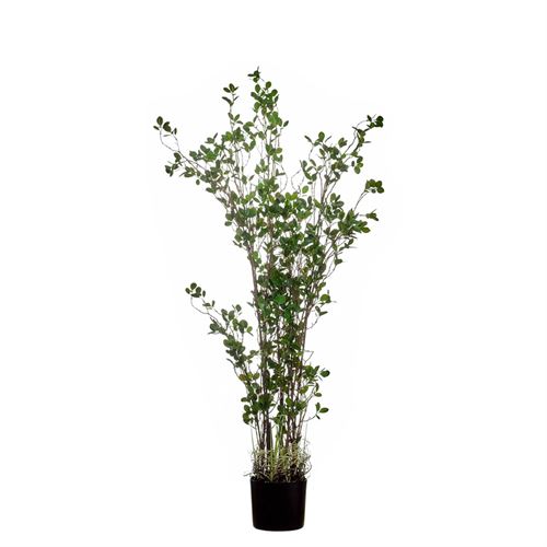 PLANTA ARTIFICIAL RUBBER TREE 150CM