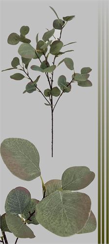 2133600000205 HASTE EUCALIPTO 90CM