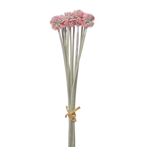 42251 HASTE - FROSTED DANDELION BUNDLE X12 52CM