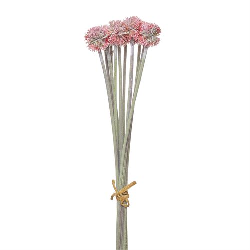 HASTE - FROSTED DANDELION BUNDLE X12 52CM