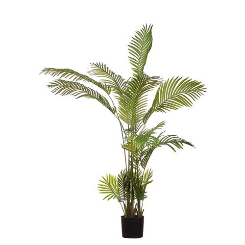 PLANTA PALM TREE 170CM